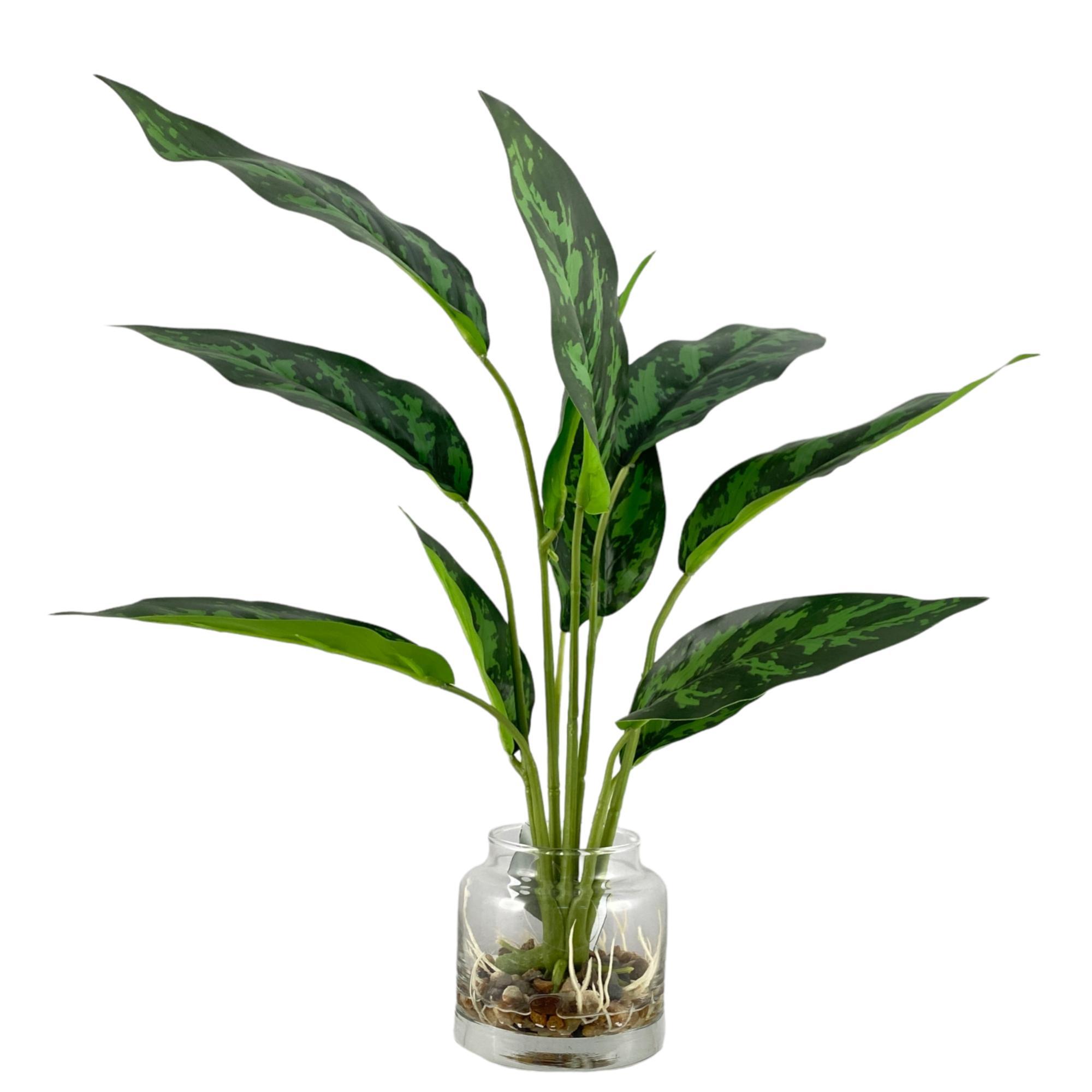 PLANTA c/POTE