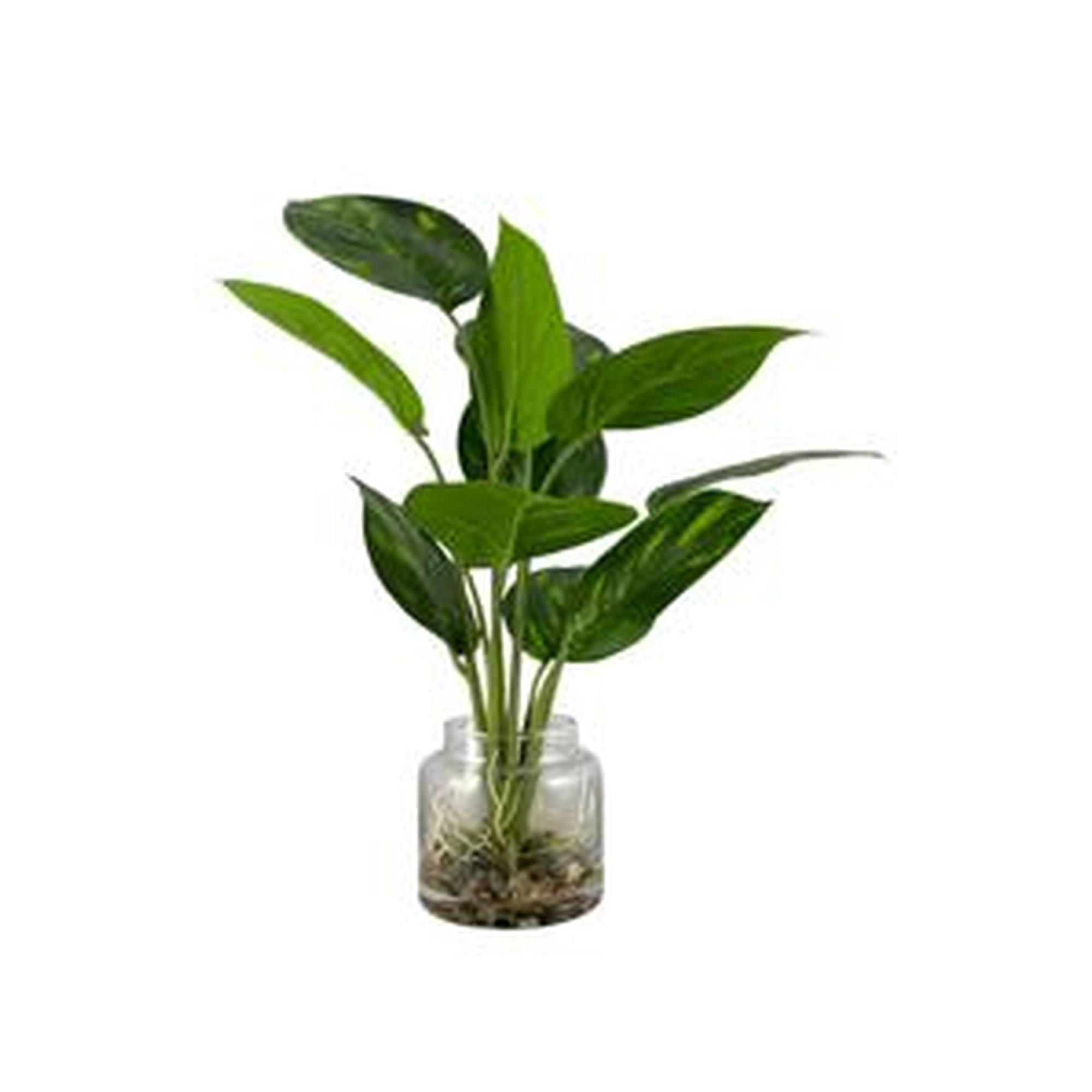 PLANTA c/POTE